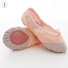 Load image into Gallery viewer, Dance Slipper Dance Shoes