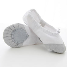 Load image into Gallery viewer, Dance Slipper Dance Shoes